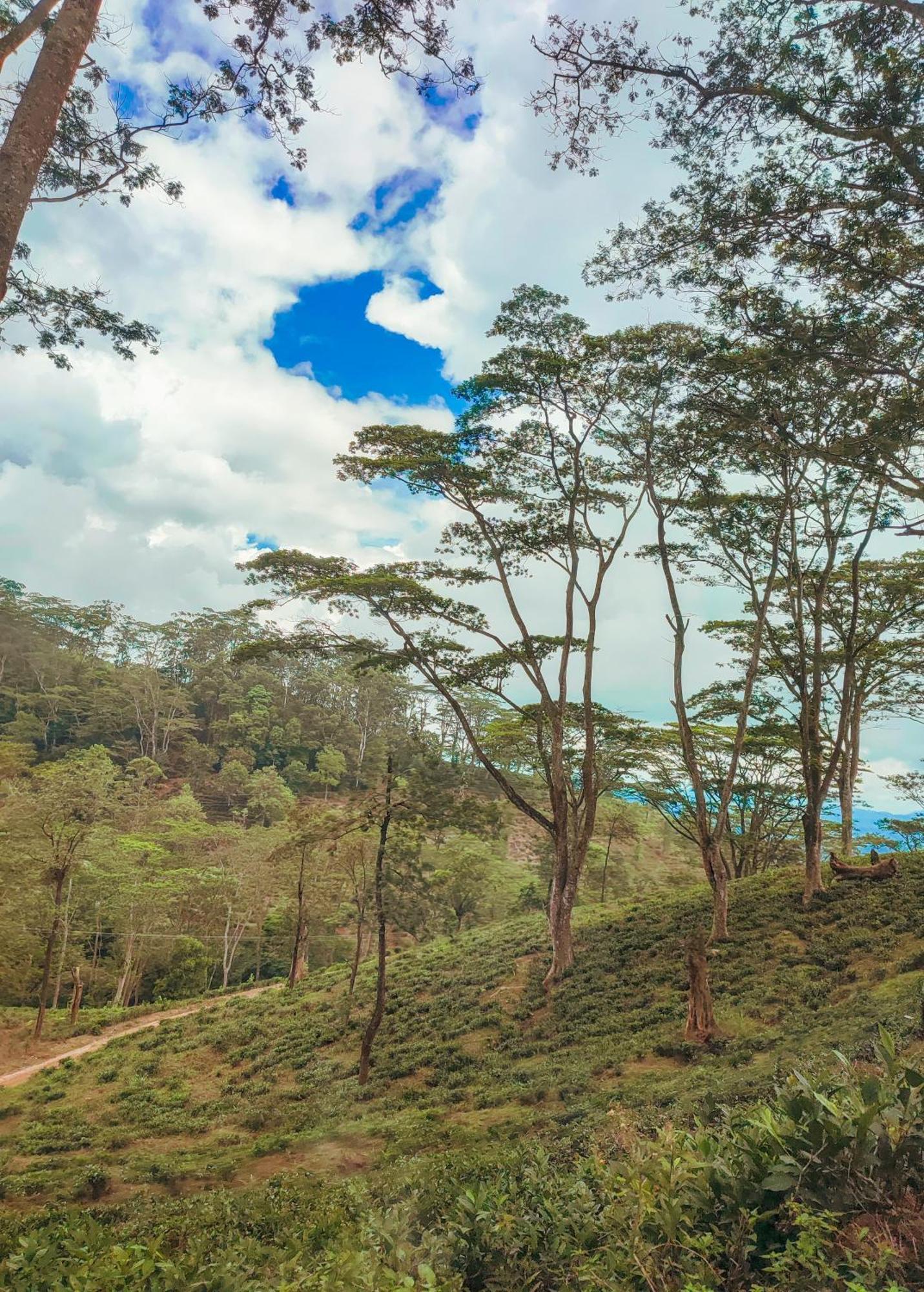 Mountain View Bungalow Kandy Ngoại thất bức ảnh